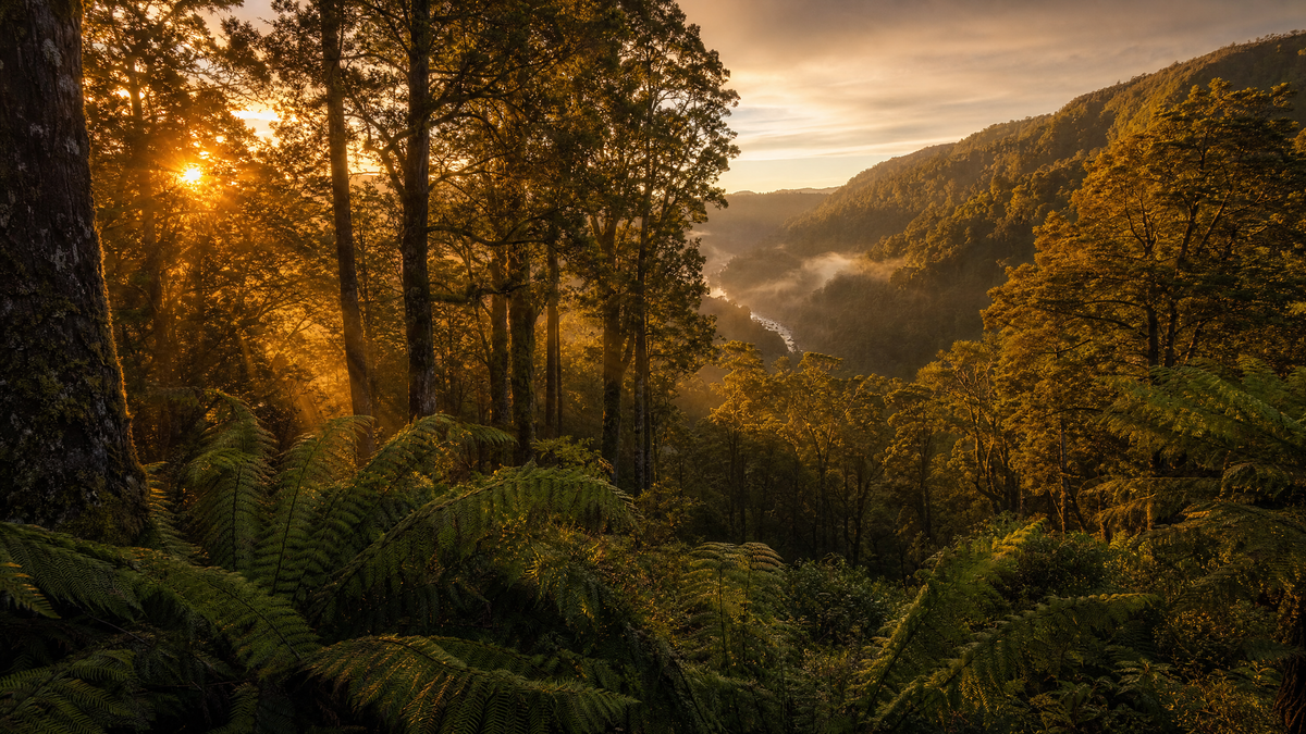 Chrispy in the New Zealand outdoors
